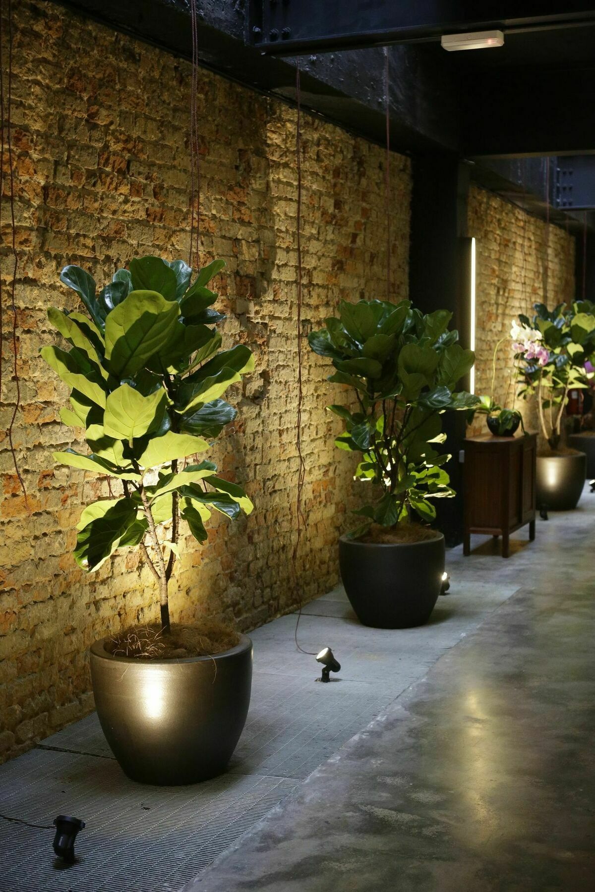 Tian Jing Hotel Kuala Lumpur Buitenkant foto